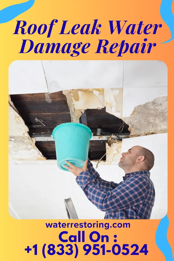 Roof Leak Water Damage Repair in Coalmont, PA