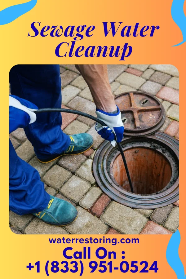 Sewage Water Cleanup in Coalmont, PA
